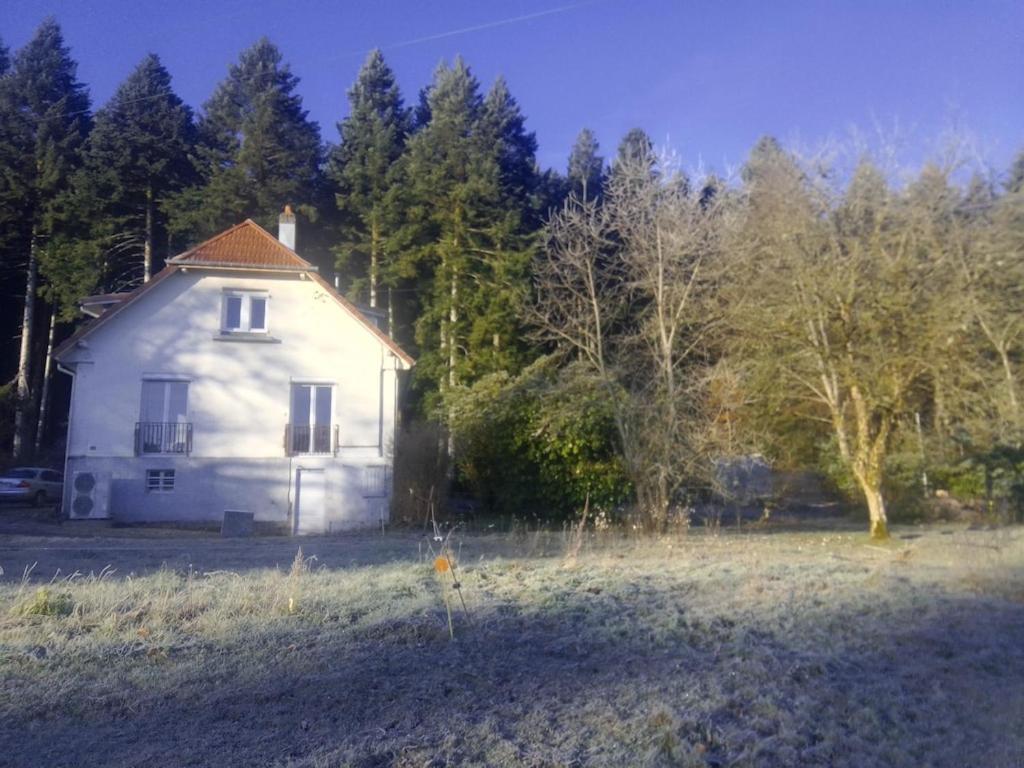 Vosges House 110 M2 In The Heart Of Nature L'Oree Du Bois Saint-Michel-sur-Meurthe 外观 照片
