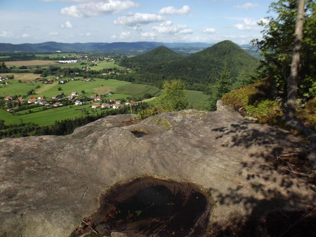 Vosges House 110 M2 In The Heart Of Nature L'Oree Du Bois Saint-Michel-sur-Meurthe 外观 照片