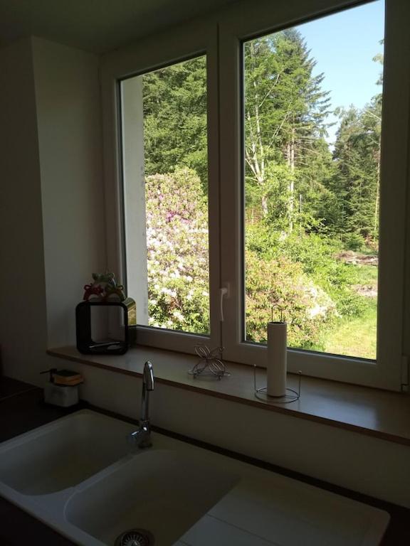 Vosges House 110 M2 In The Heart Of Nature L'Oree Du Bois Saint-Michel-sur-Meurthe 外观 照片