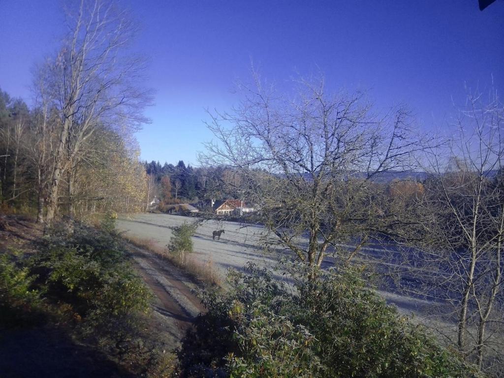 Vosges House 110 M2 In The Heart Of Nature L'Oree Du Bois Saint-Michel-sur-Meurthe 外观 照片