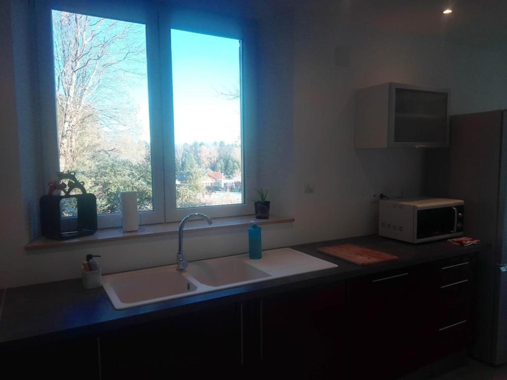 Vosges House 110 M2 In The Heart Of Nature L'Oree Du Bois Saint-Michel-sur-Meurthe 外观 照片