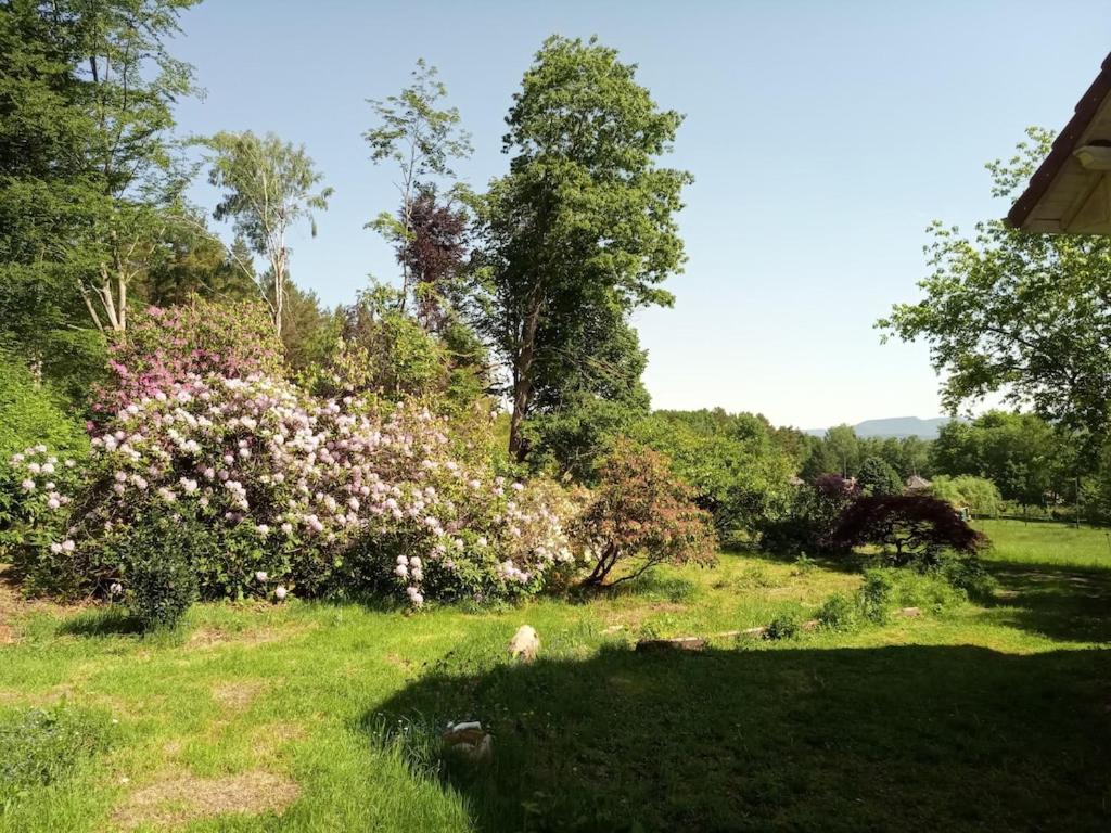 Vosges House 110 M2 In The Heart Of Nature L'Oree Du Bois Saint-Michel-sur-Meurthe 外观 照片
