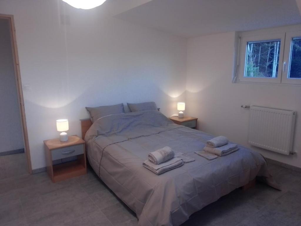 Vosges House 110 M2 In The Heart Of Nature L'Oree Du Bois Saint-Michel-sur-Meurthe 外观 照片